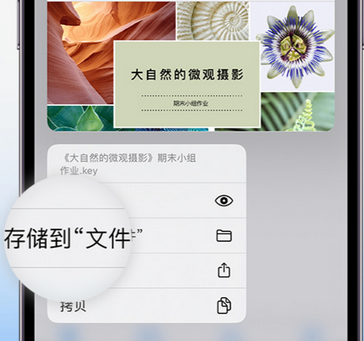 卫辉apple维修中心分享iPhone文件应用中存储和找到下载文件