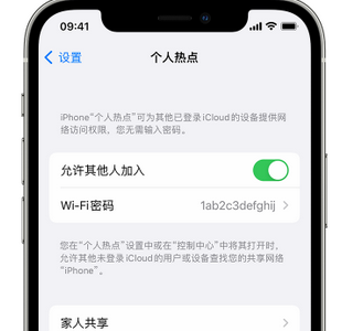 卫辉apple服务站点分享iPhone上个人热点丢失了怎么办 