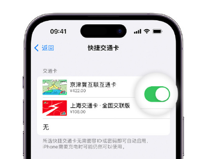 卫辉apple维修点分享iPhone上更换Apple Pay快捷交通卡手绘卡面 