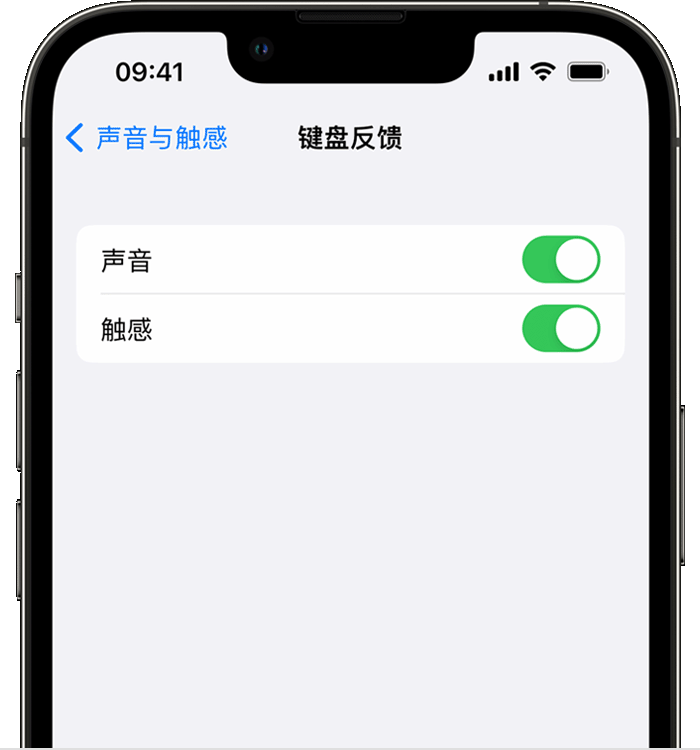 卫辉苹果14维修店分享如何在 iPhone 14 机型中使用触感键盘 