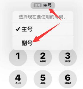 卫辉苹果14维修店分享iPhone 14 Pro Max使用副卡打电话的方法 