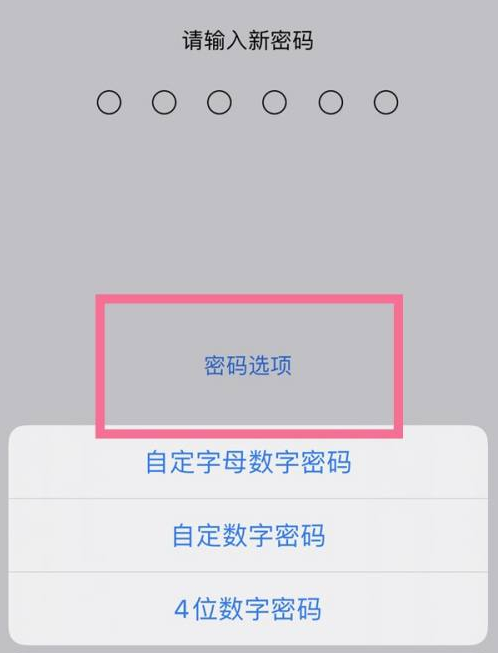 卫辉苹果14维修分享iPhone 14plus设置密码的方法 