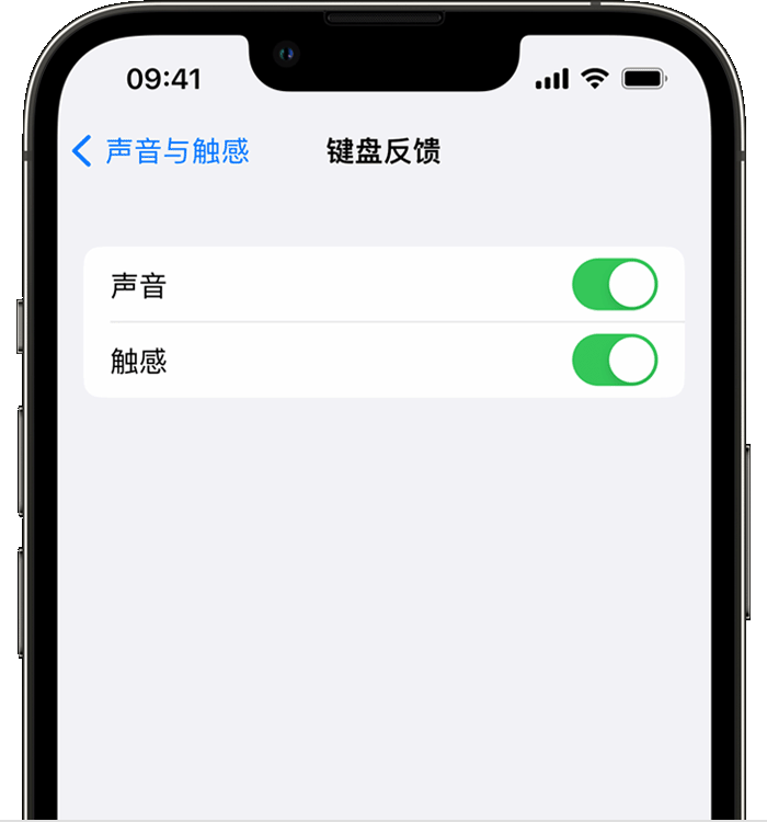 卫辉苹果14维修分享iPhone 14 系列机型如何开启键盘声音或触感反馈 