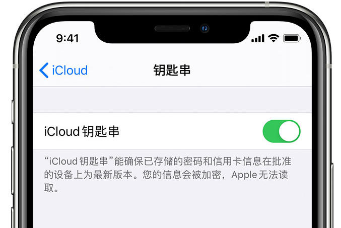 卫辉苹果手机维修分享在 iPhone 上开启 iCloud 钥匙串之后会储存哪些信息 