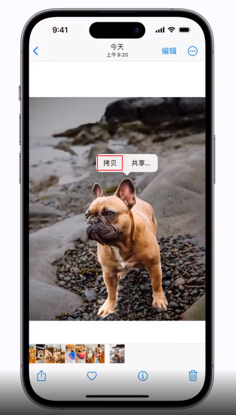 卫辉苹果手机维修分享 iOS 16 自带一键抠图功能 