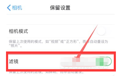 卫辉苹果13维修分享iPhone13拍照有绿点是怎么回事 
