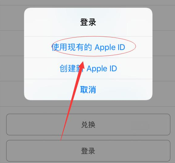 卫辉苹果手机维修分享两台iPhone设备可以同时登录一个Apple ID吗 