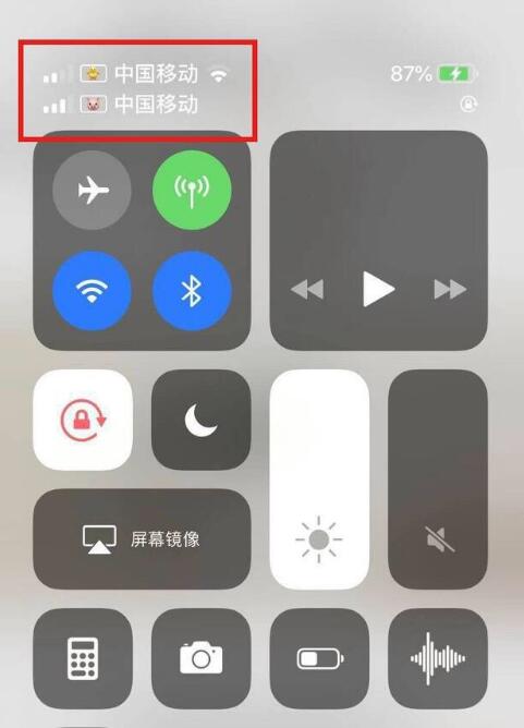 卫辉苹果手机维修分享为 iPhone 12 双卡设置标签 